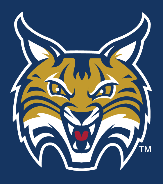 Quinnipiac Bobcats 2002-Pres Secondary Logo v8 diy iron on heat transfer